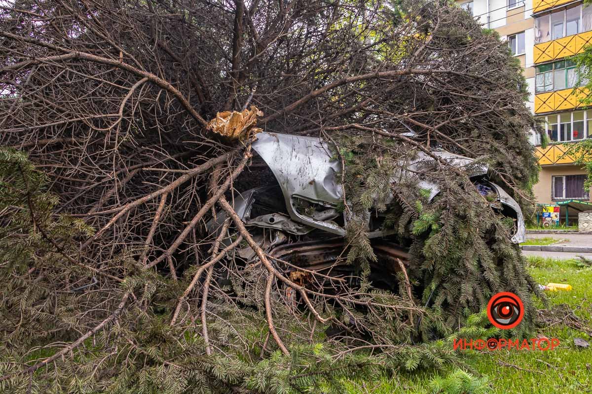 Возле дома №141, район улицы Абхазской Возле дома №141, район улицы Абхазской