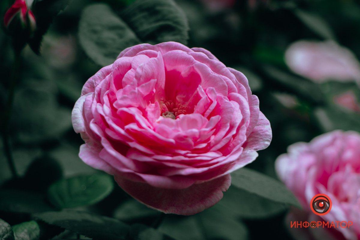 Знакома каждому Знакома каждому