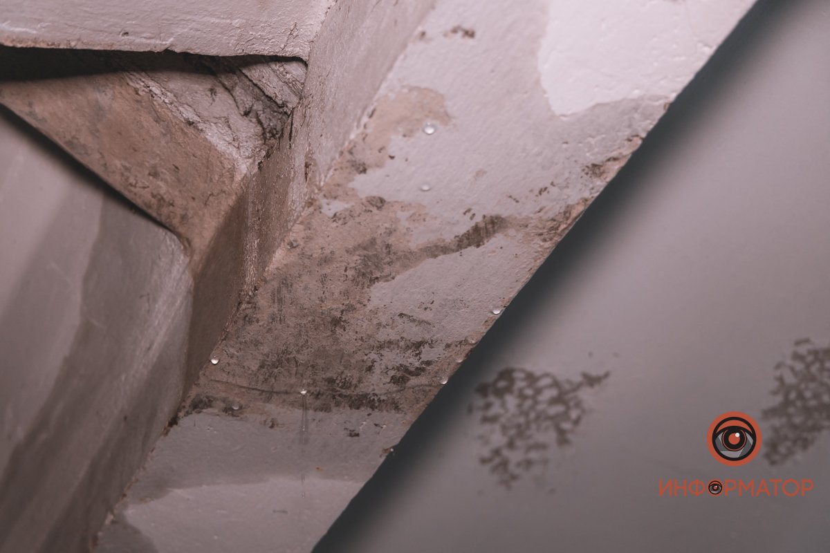 Плесень на потолке