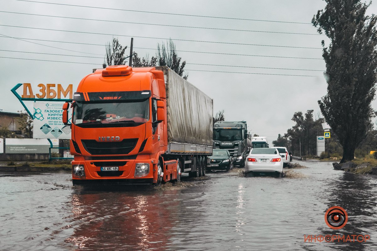 Плывут по своим делам Плывут по своим делам