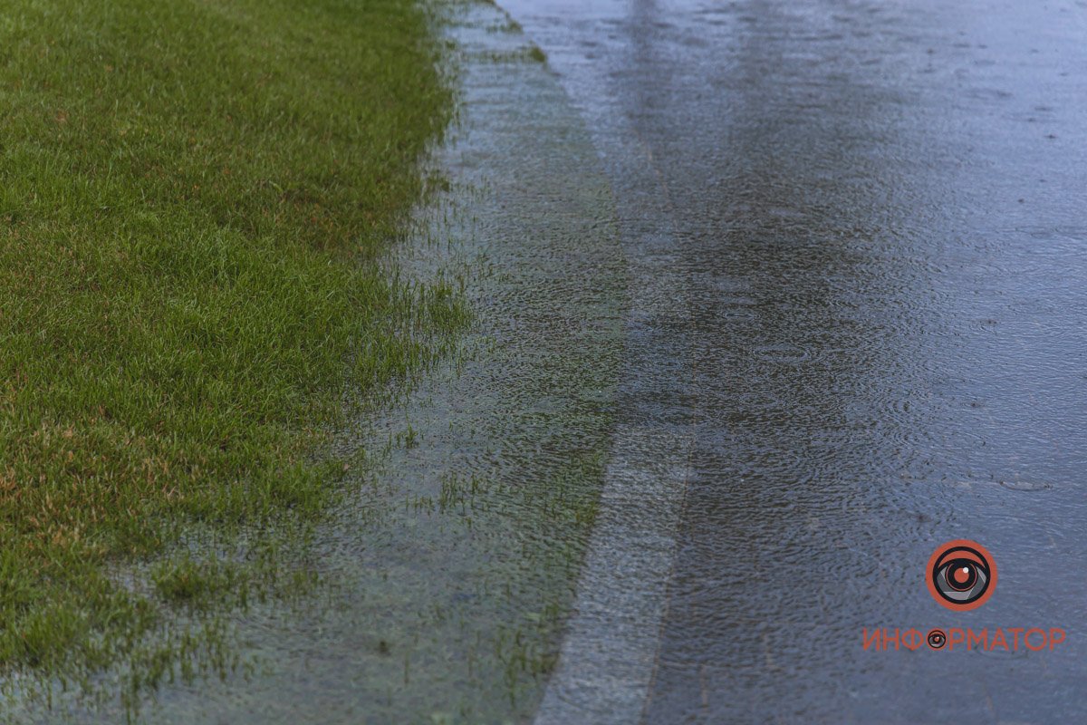 Дождь красит даже бордюры