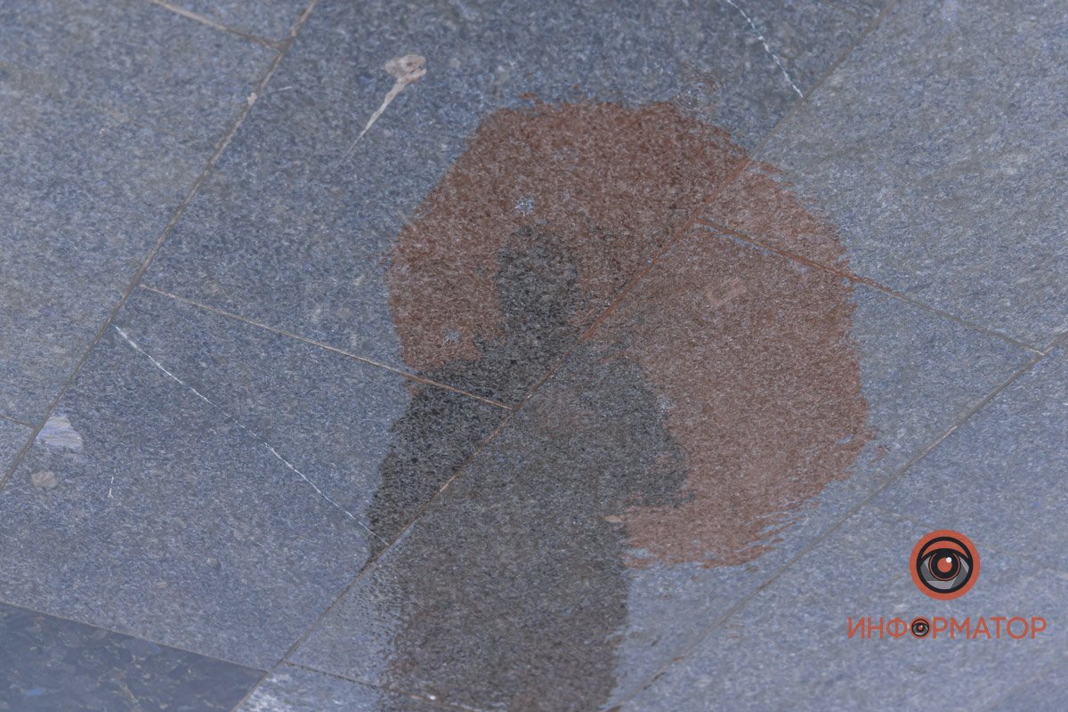 В спутниках лишь тень