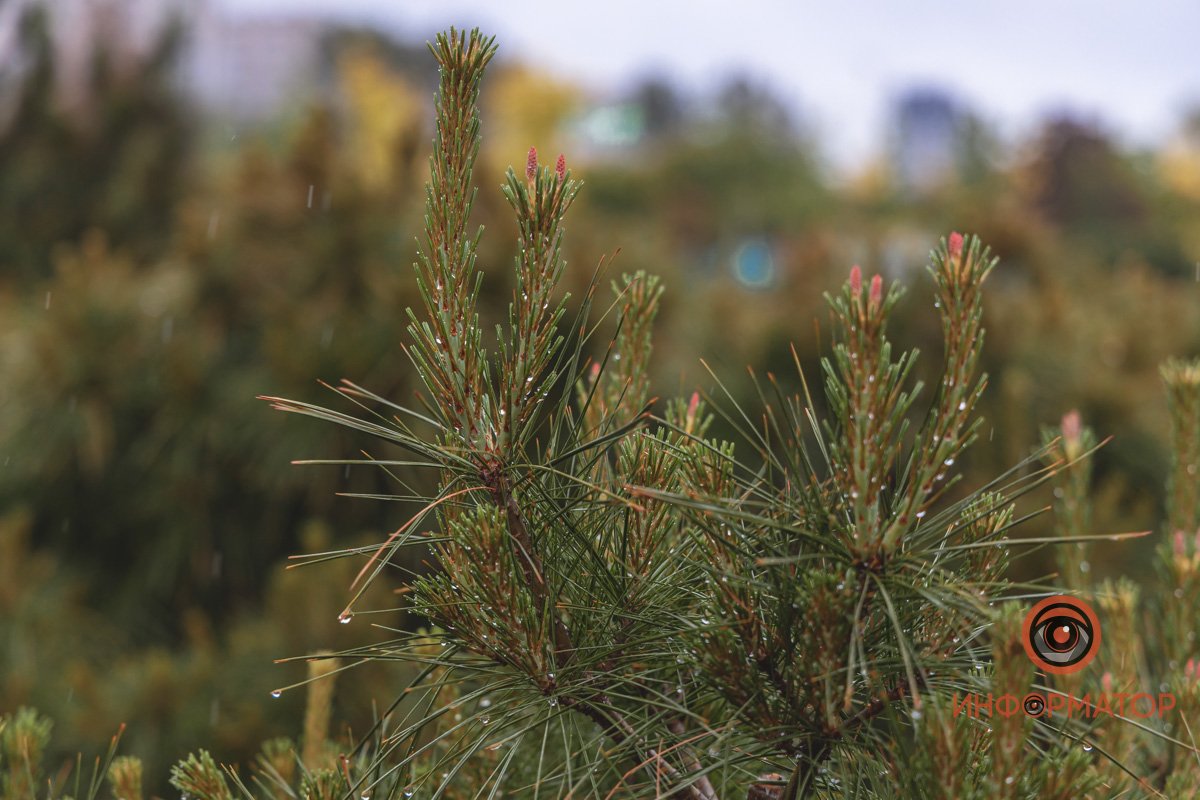 Красота повсюду