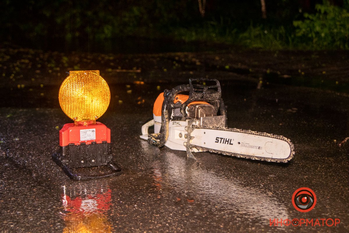 Дерево упало на Воронежской перед пересечением с улицей Кривоноса