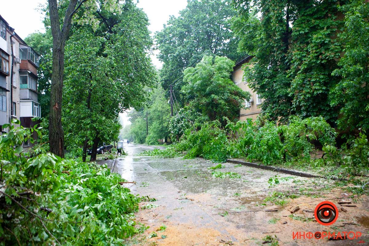 Не выдержали деревья