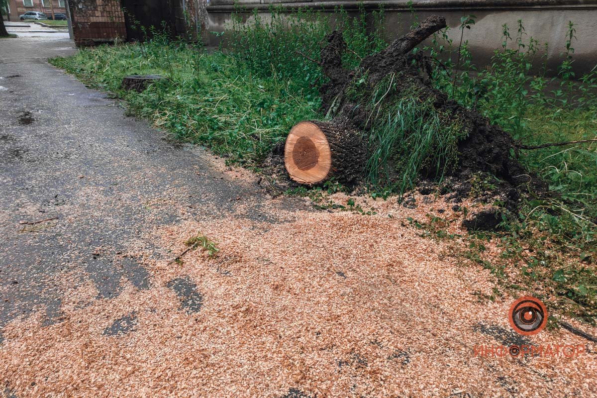 Ликвидация последствий