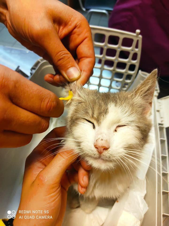 Впереди долгий путь реабилитации