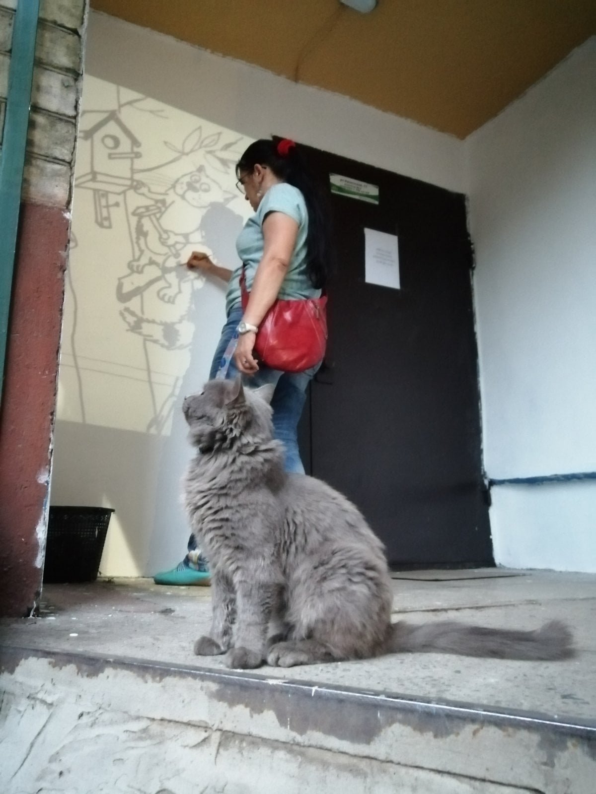 Группа поддержки Группа поддержки