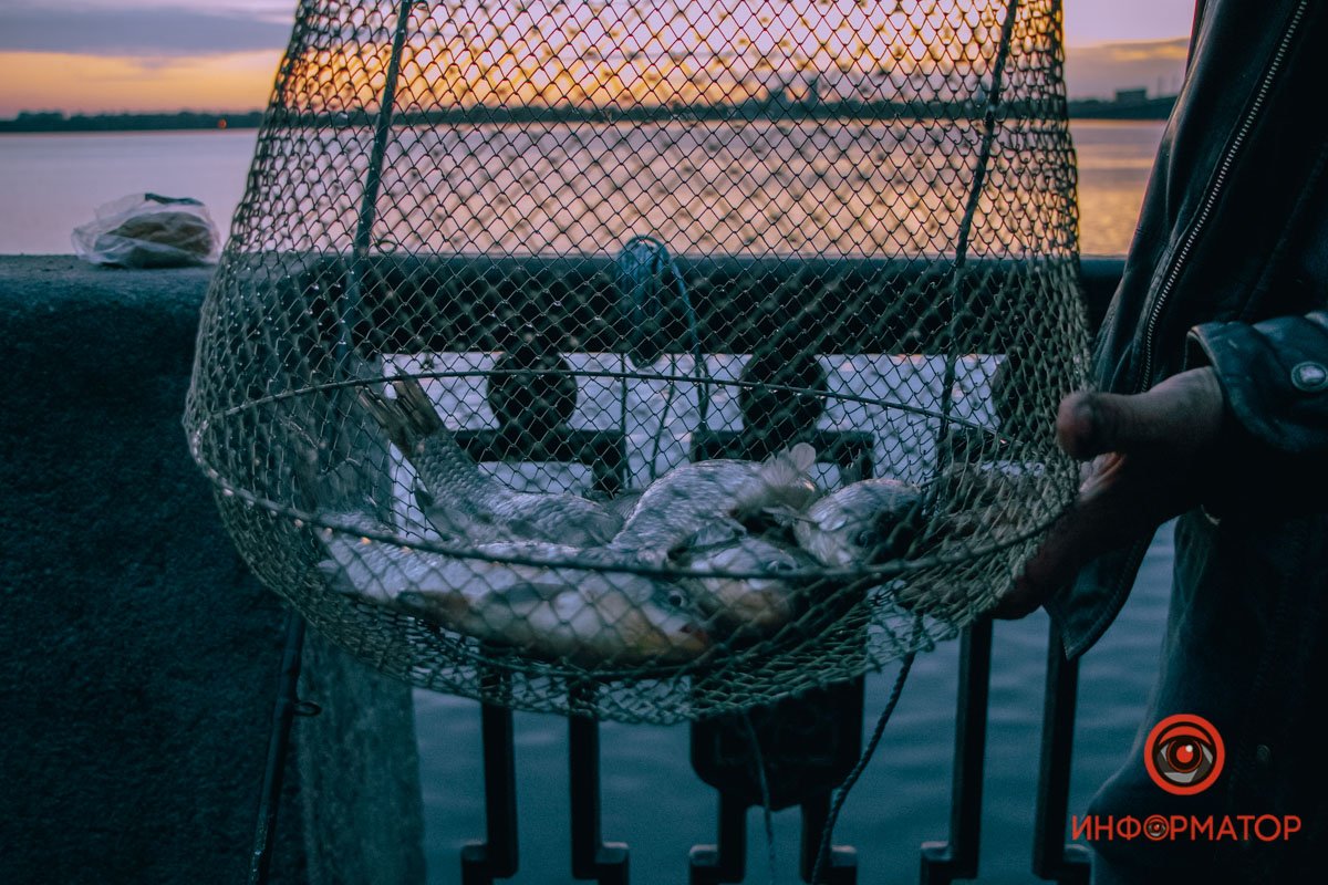 Хороший улов Хороший улов