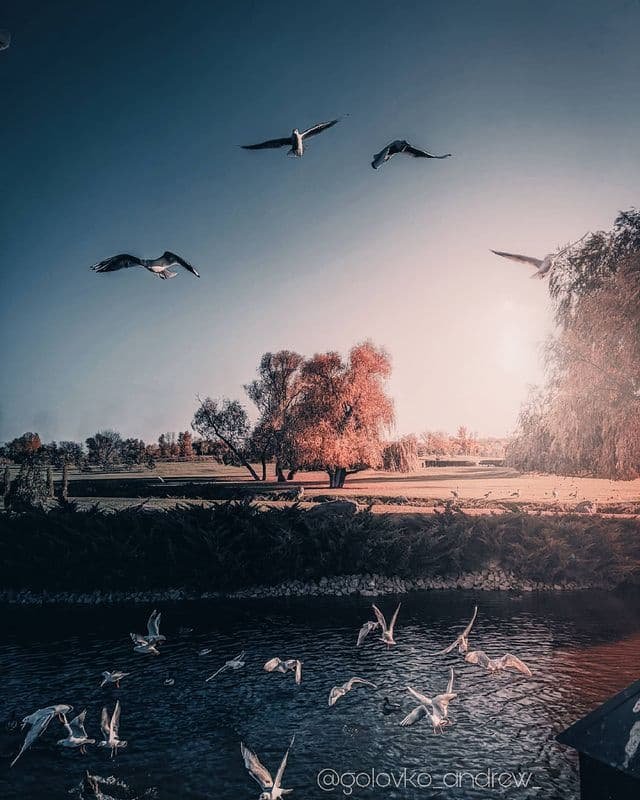 @golovko_andrew_ @golovko_andrew_