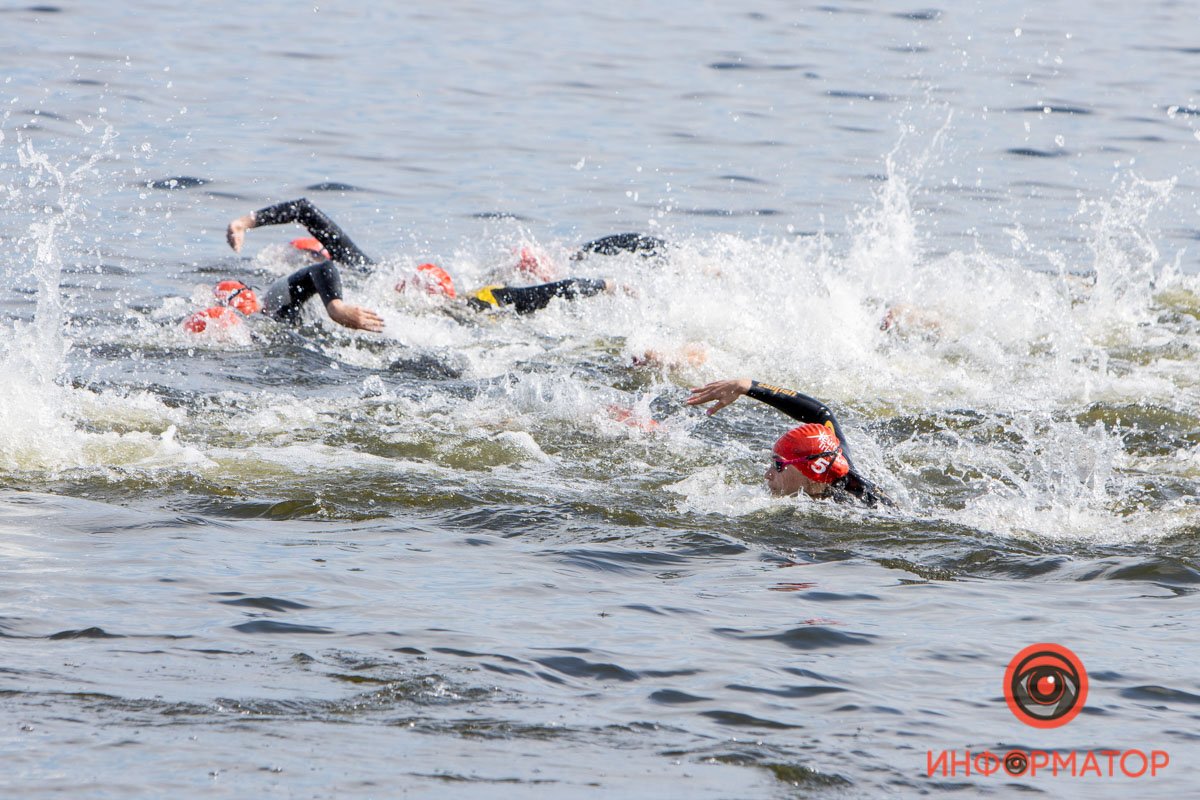 Хорошо плывут