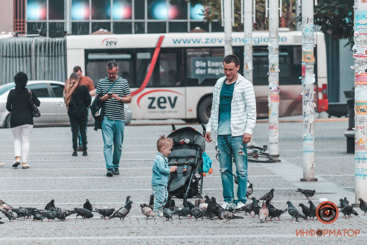 Не знаете, чем занять ребенка? Купите семечки и найдите голубей