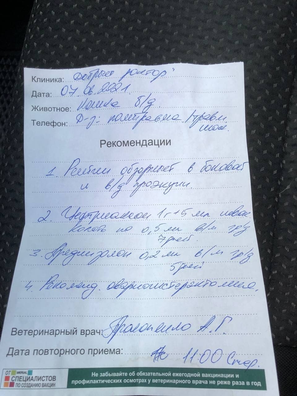 Кошку доставили в клинику Кошку доставили в клинику