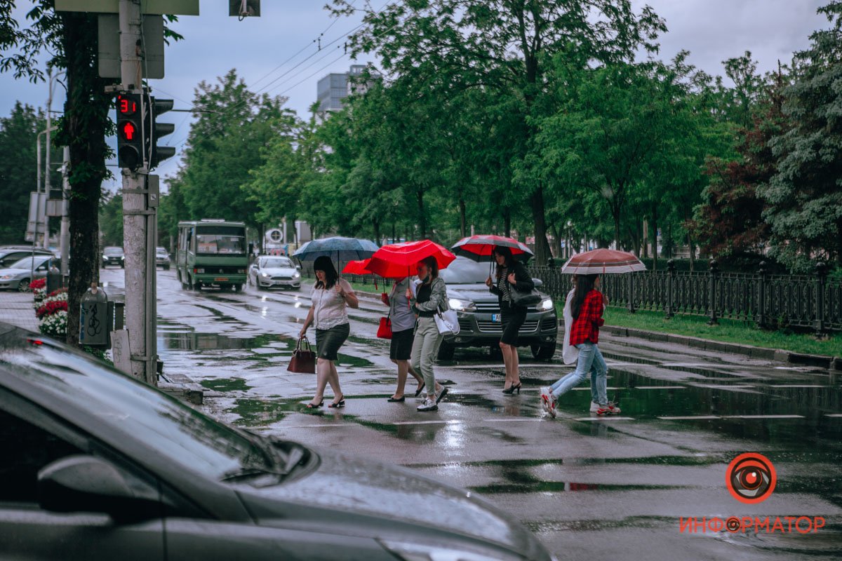 Все идут с зонтами Все идут с зонтами