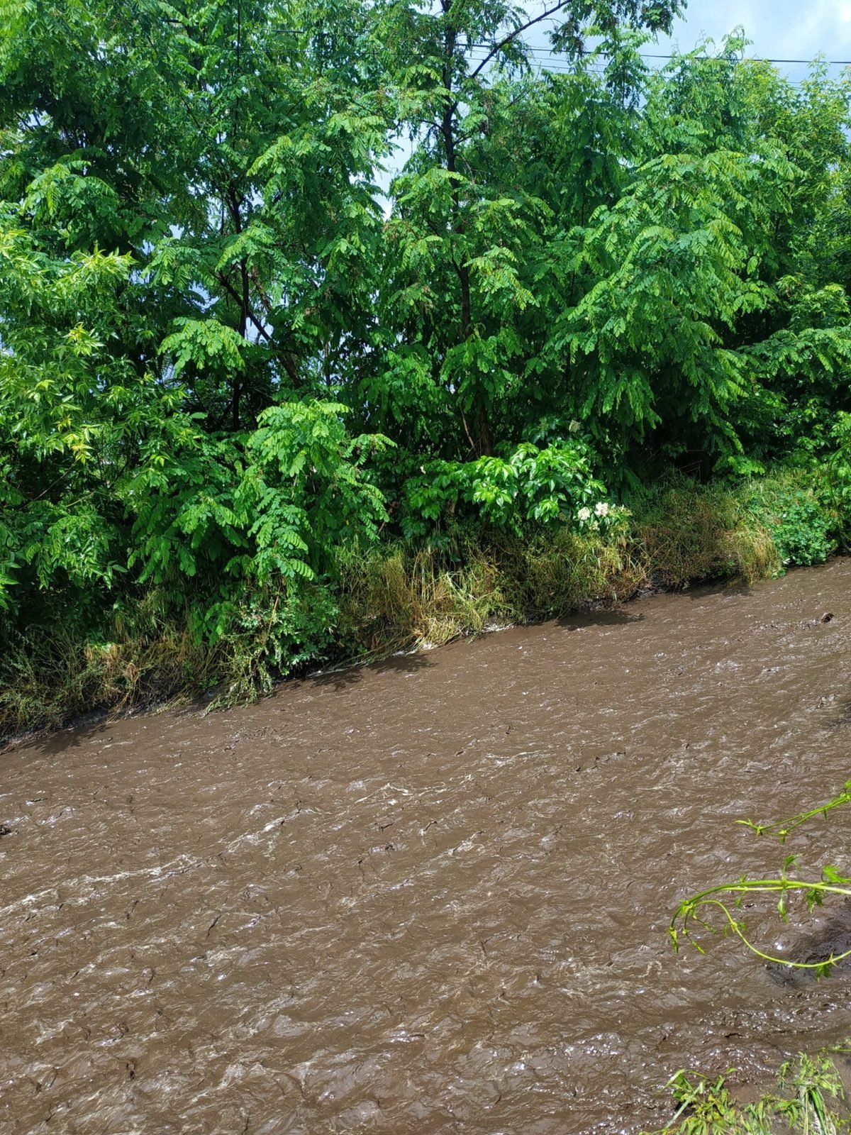 Вперемешку с грунтом