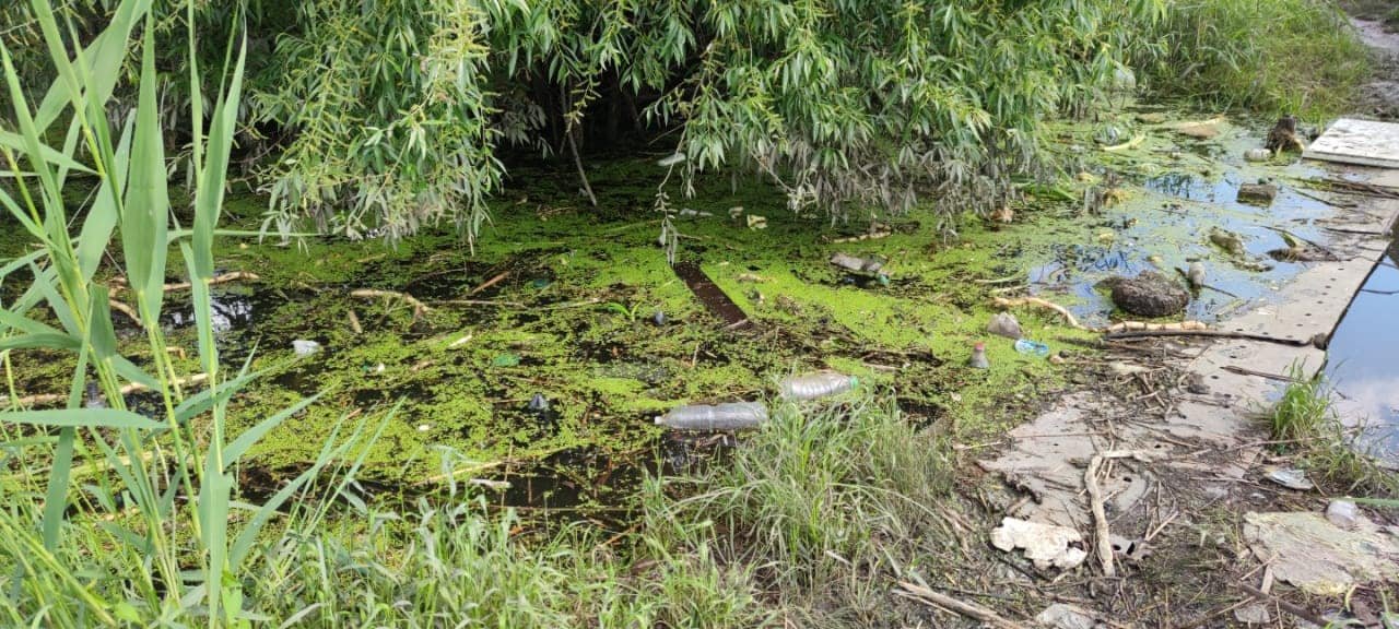 Из нее достали 1500 тонн мусора