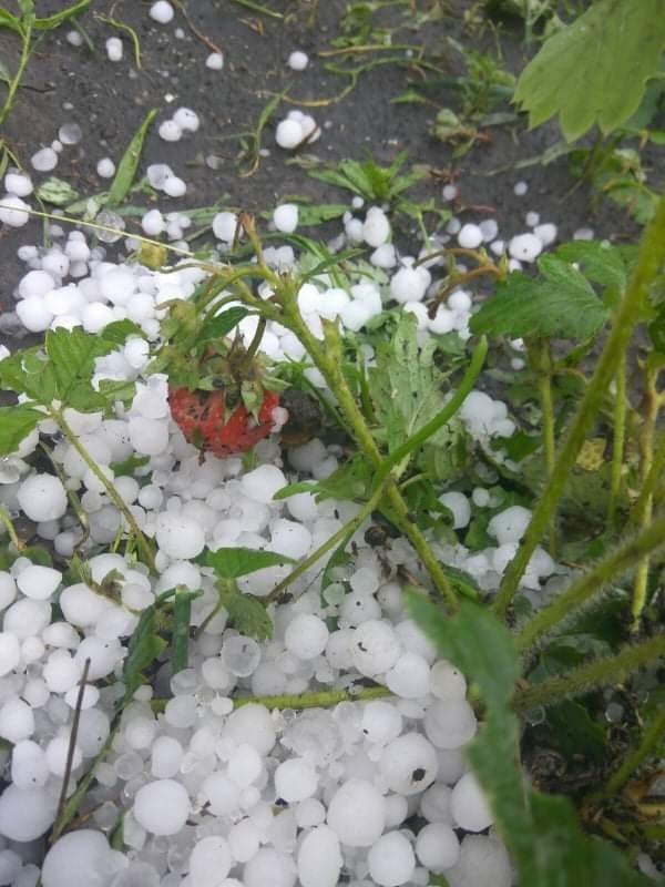 В Днепропетровской области выпал сильный град: льдинки побили урожай 1