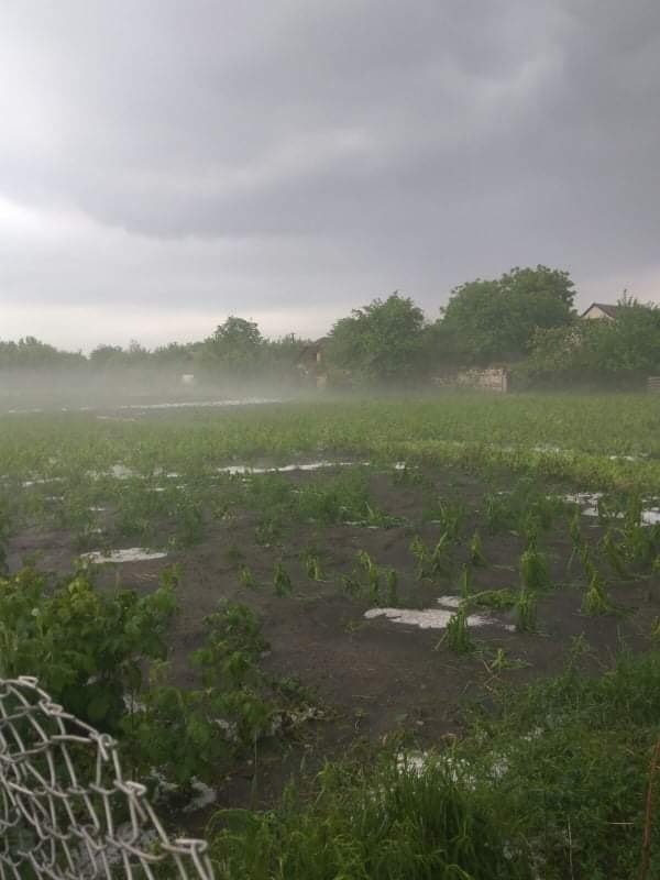 В Днепропетровской области выпал сильный град: льдинки побили урожай 4