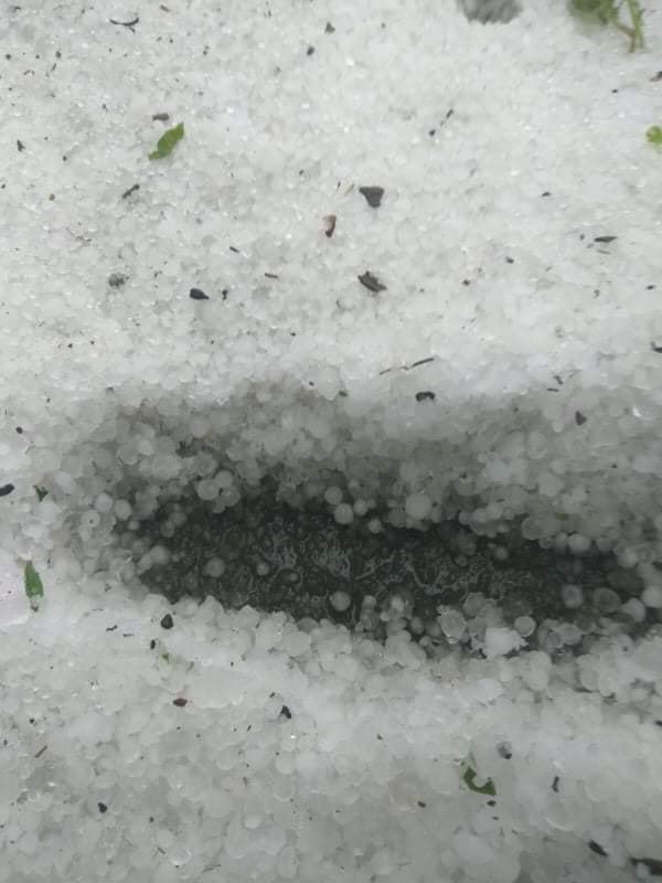 В Днепропетровской области выпал сильный град: льдинки побили урожай 5