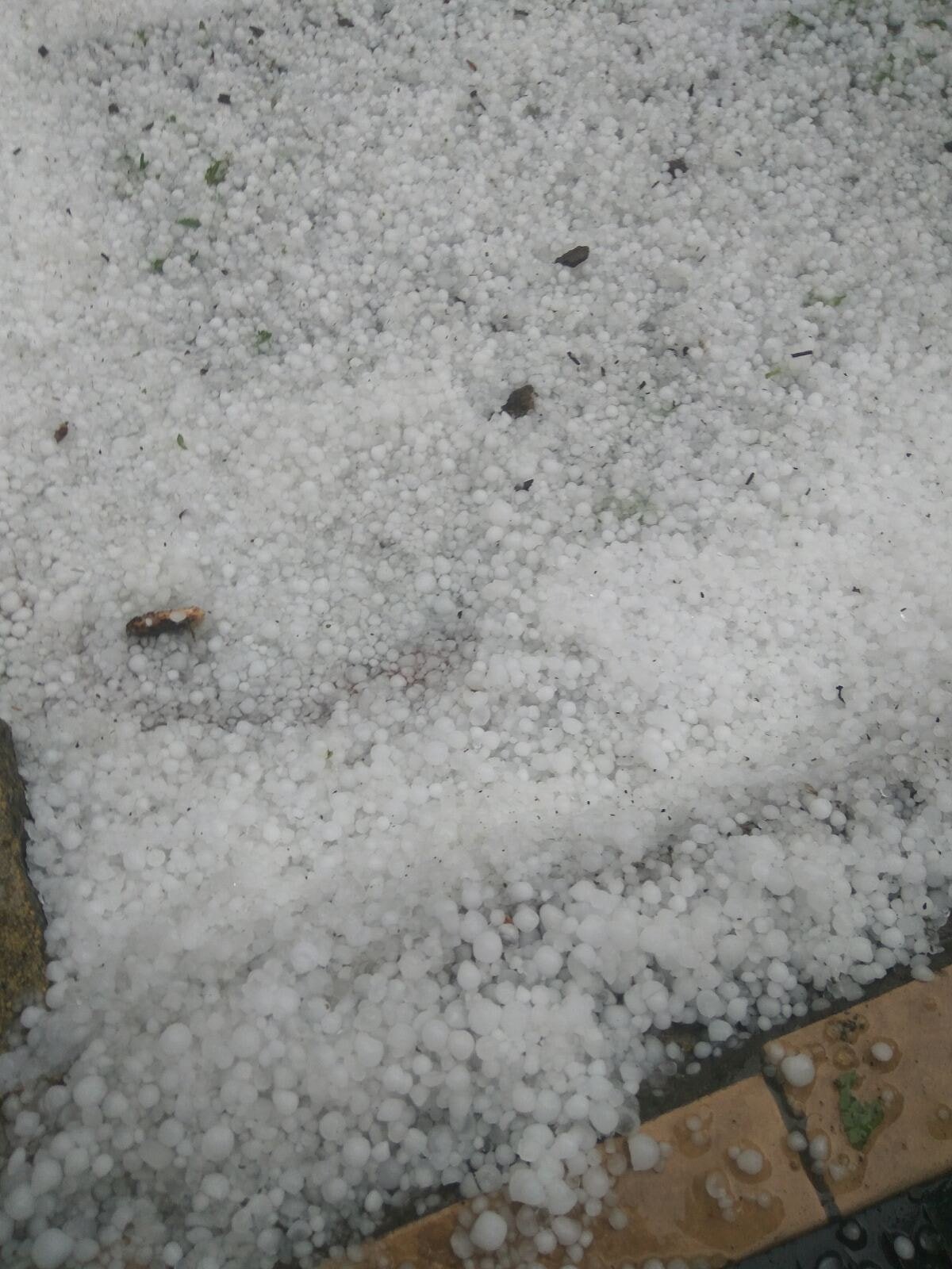 В Днепропетровской области выпал сильный град: льдинки побили урожай 6