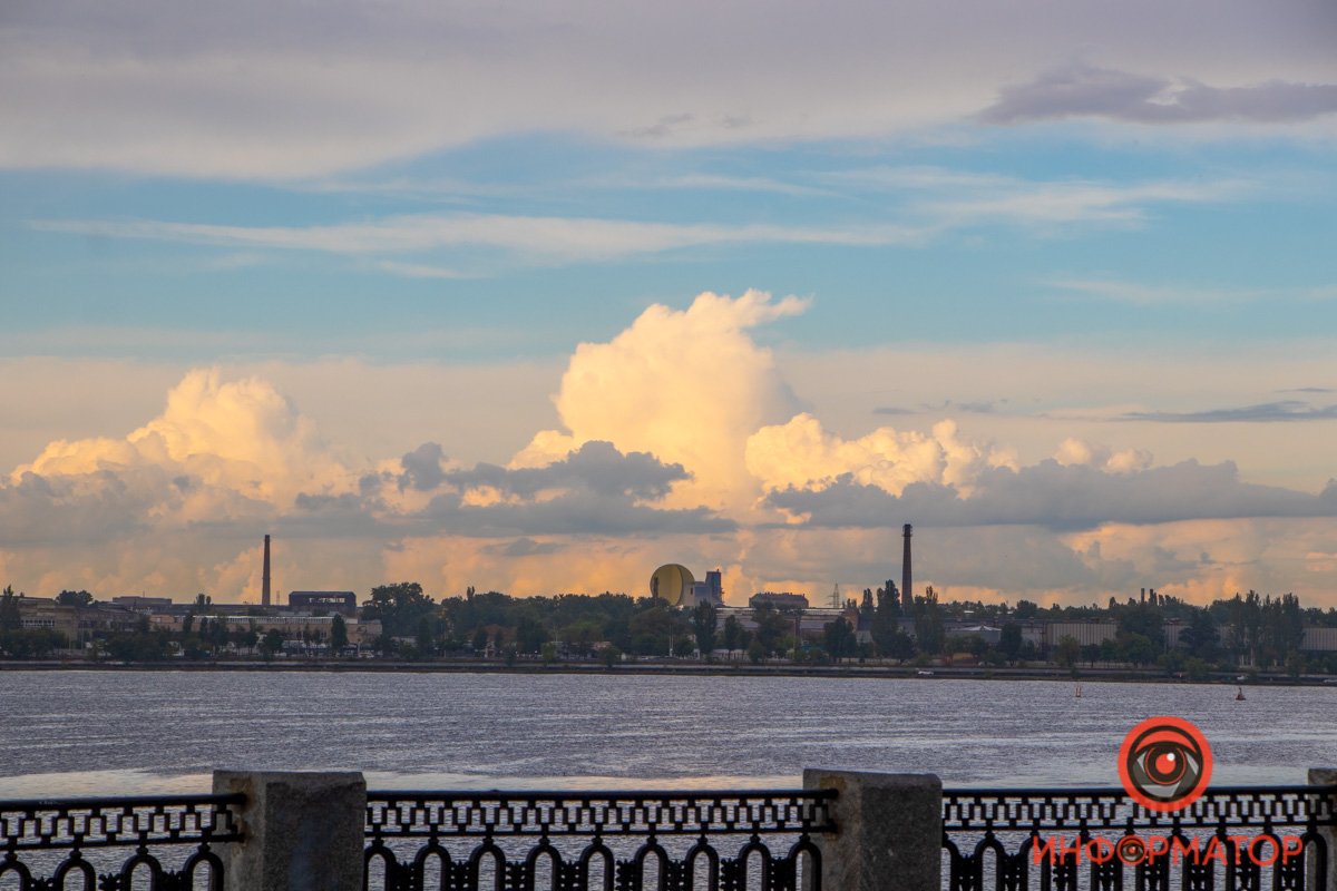 Они такие разные - и по форме, и по цвету Они такие разные - и по форме, и по цвету