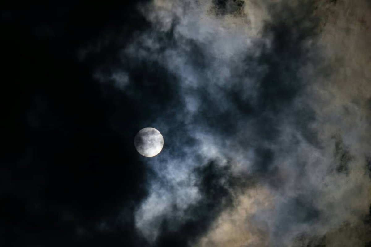 Завораживающее зрелище Завораживающее зрелище