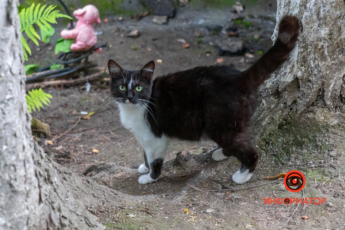 За нами следят За нами следят