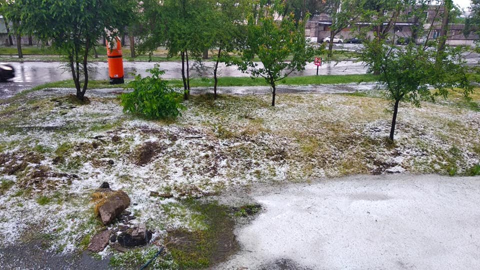 Плотно усеял