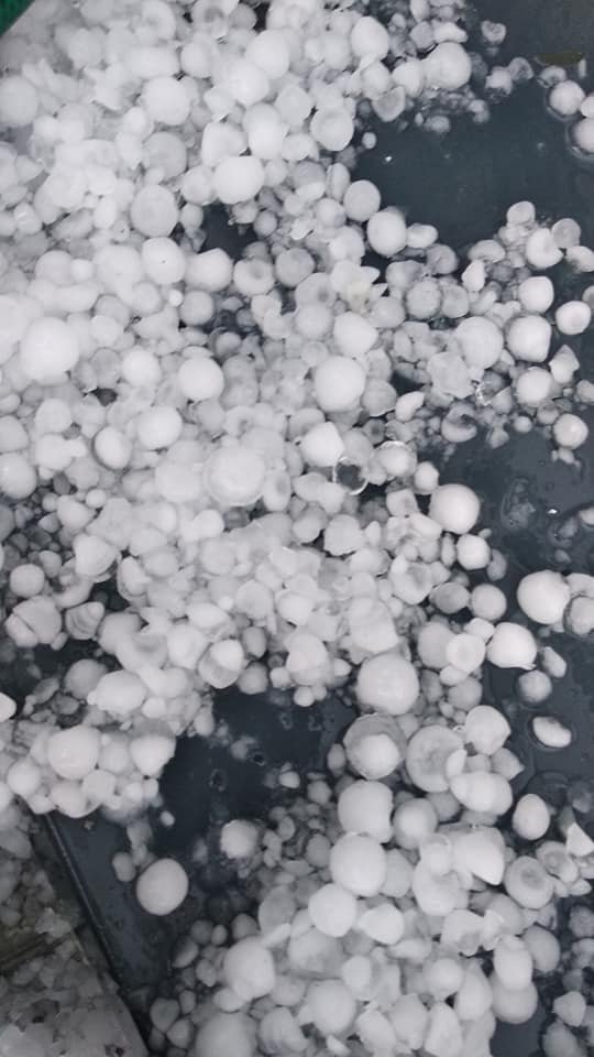 Выглядит холодным