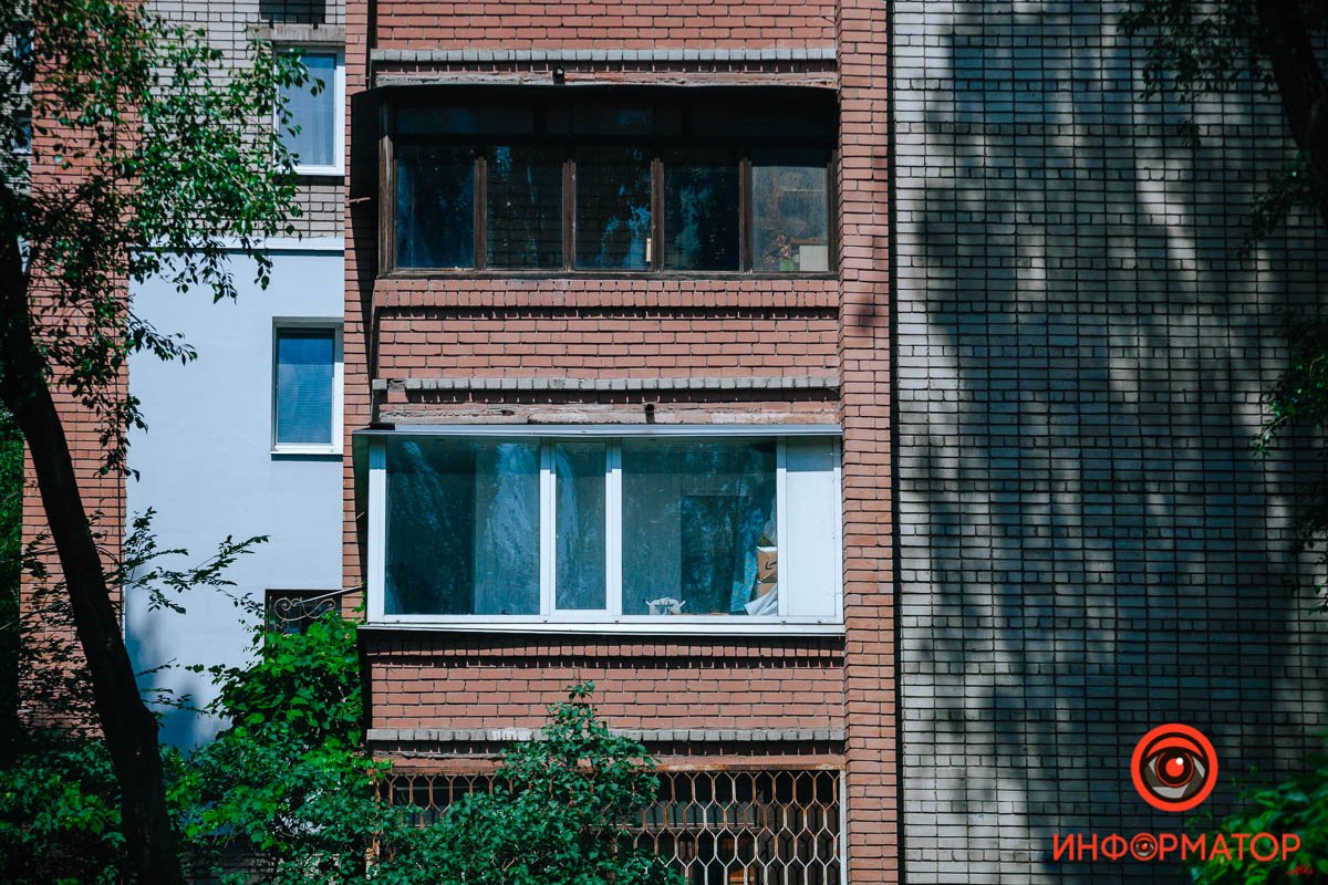 Кто-то выглядывает Кто-то выглядывает