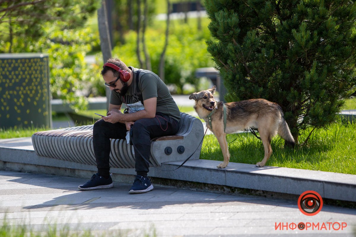 Верный друг Верный друг