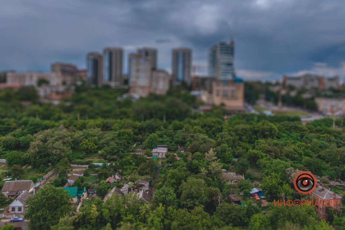 Мини-лес Мини-лес