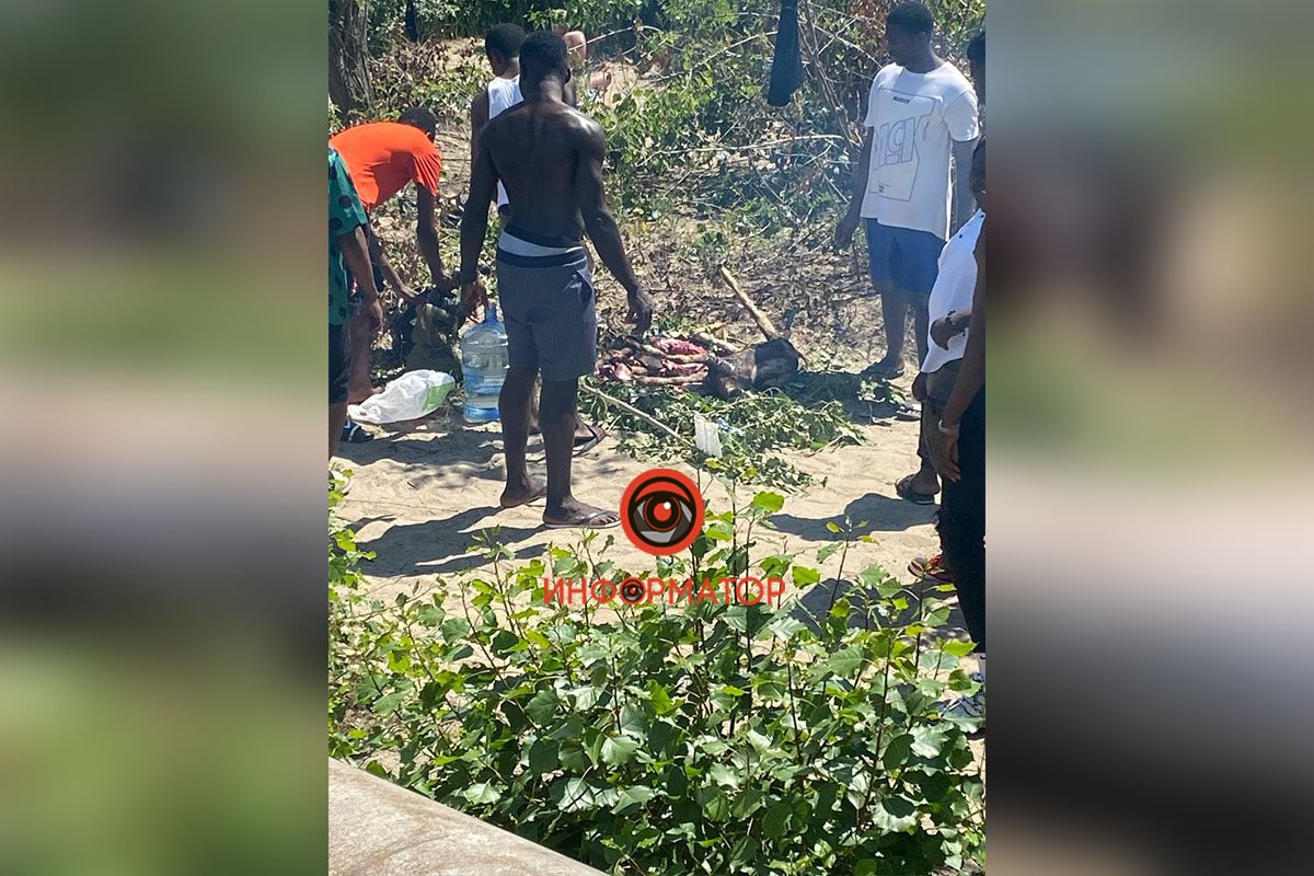 В Днепре на Мануйловском пляже 12 иностранцев убивали и сжигали коз 1