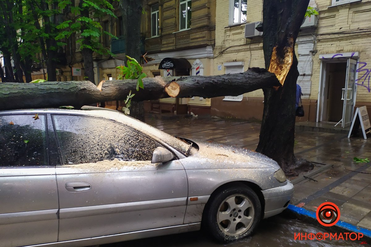На Opel упало дерево