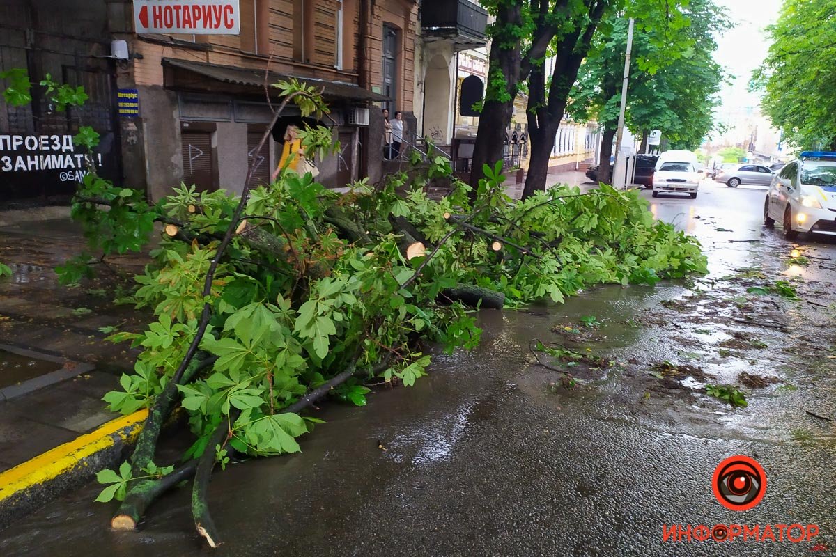 Частично дерево уже распилили