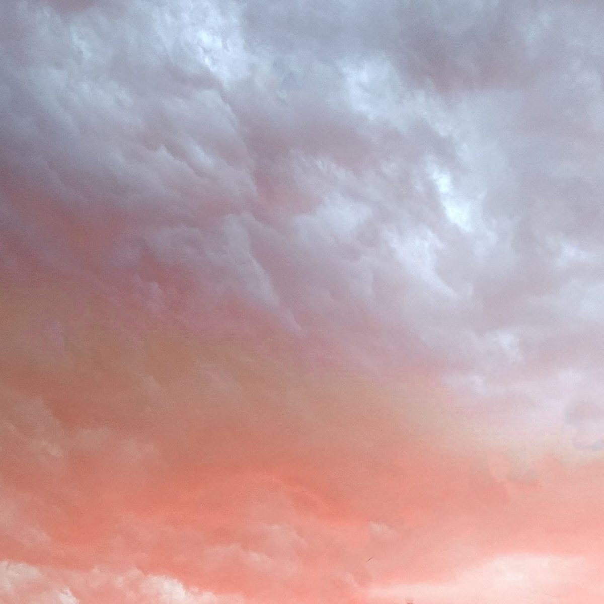 Оттенки прекрасного