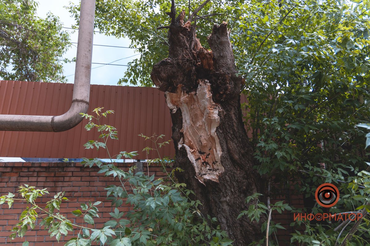 Оно перегородило проезжую часть