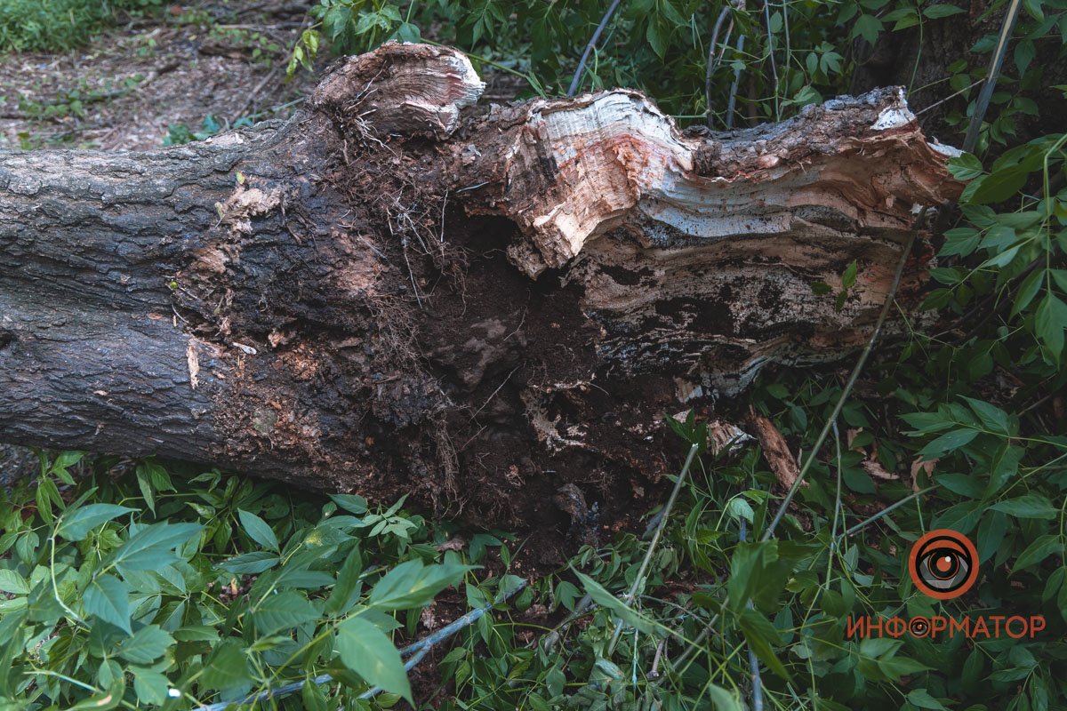 Фото: Денис Чубченко