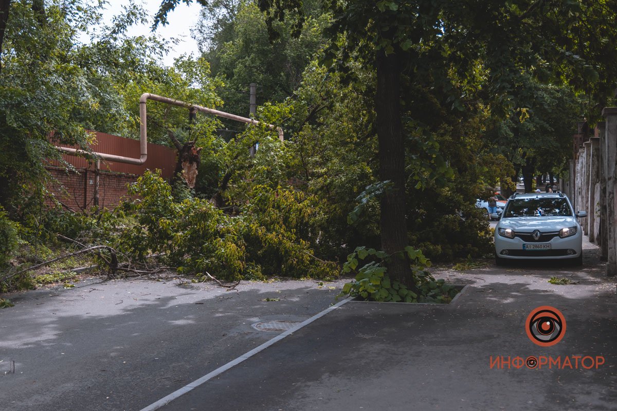 Дерево оборвало провода и повредило опору
