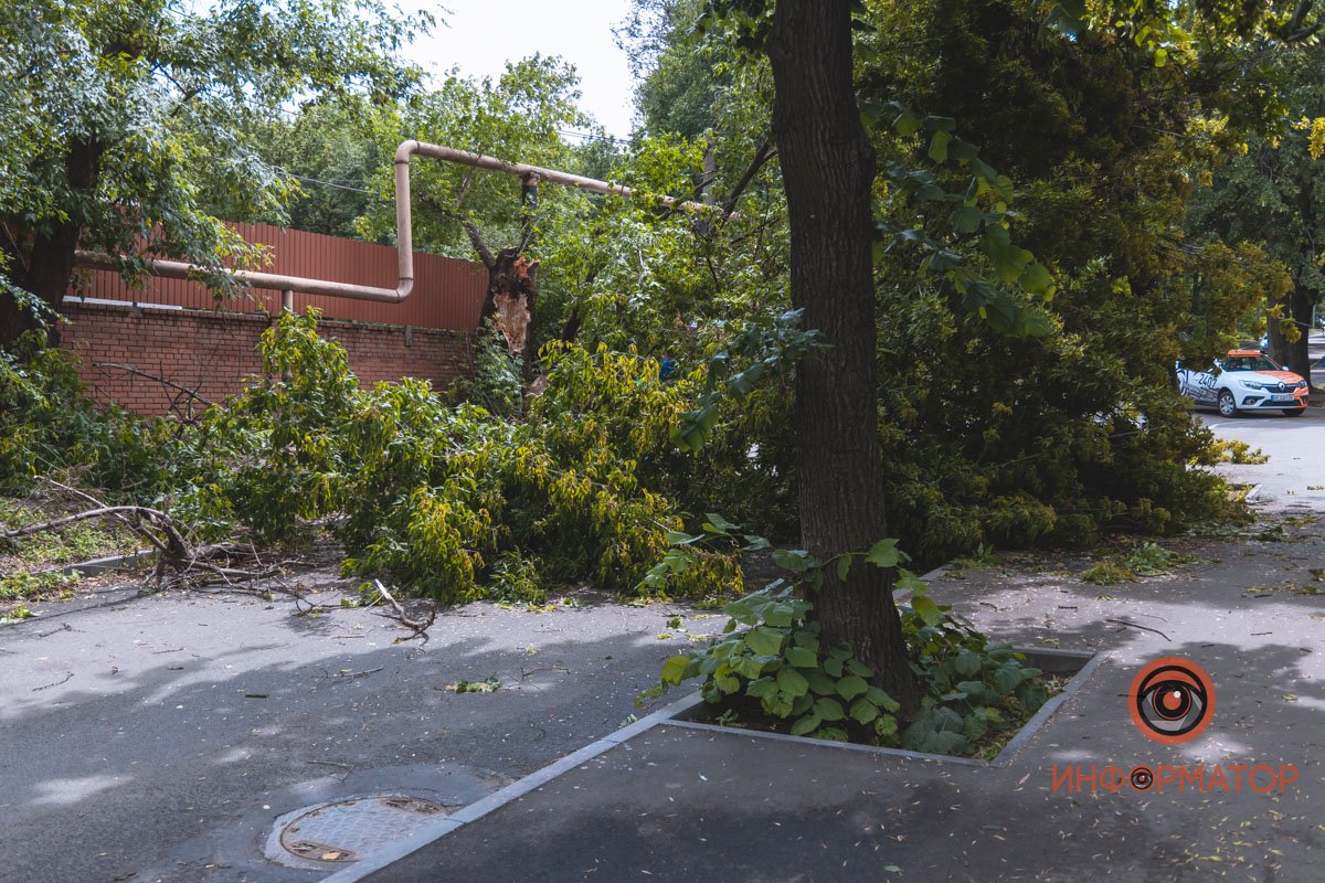 К счастью, никто не пострадал