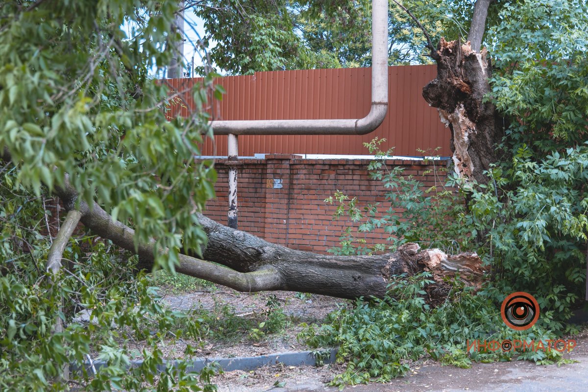 Фото: Денис Чубченко