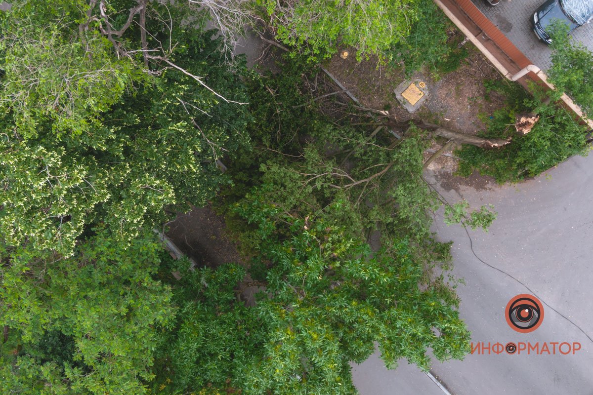 Фото: Сергей Лашко