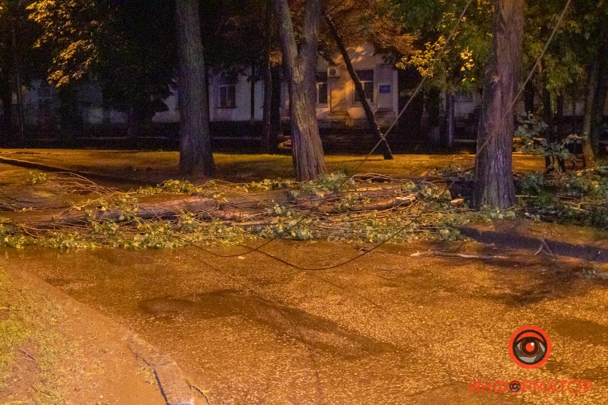 Дерево упало на проспект Пушкина и перекрыло проезжую часть Дерево упало на проспект Пушкина и перекрыло проезжую часть