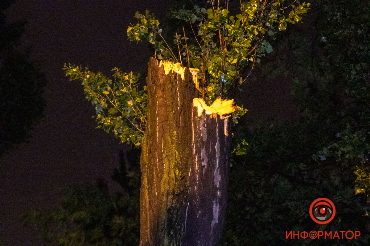 Все, что осталось Все, что осталось