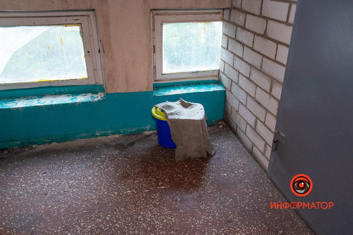 Следы дождливой ночи Следы дождливой ночи