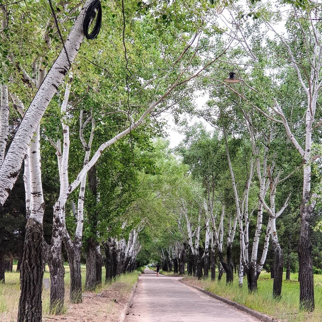 Фото: @gordeeva5577