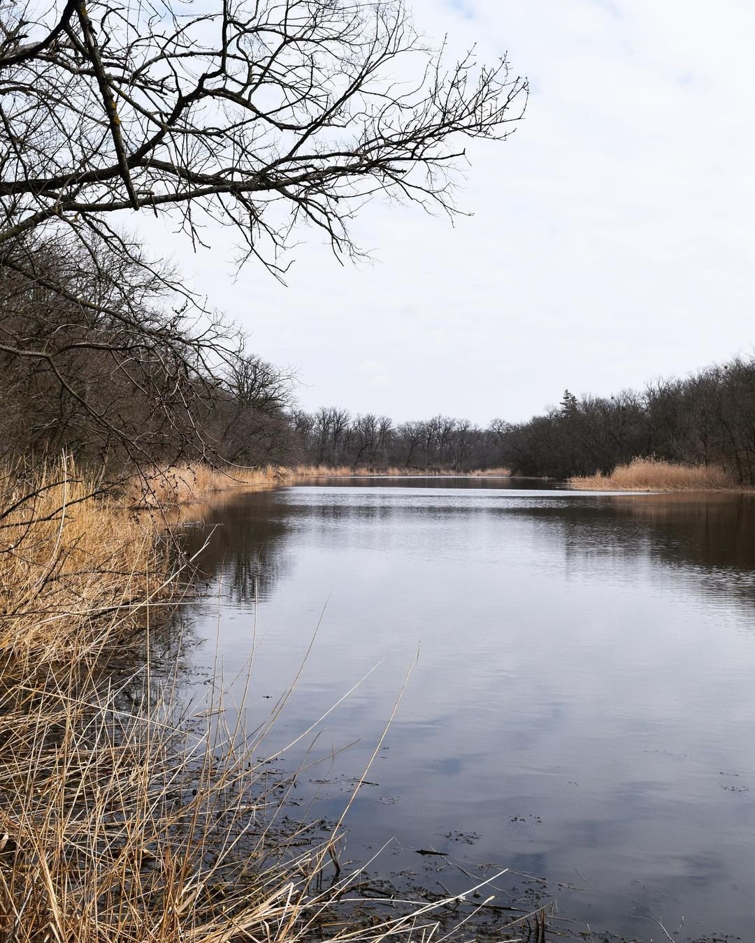 Условия приближенные к естесственным Условия приближенные к естесственным