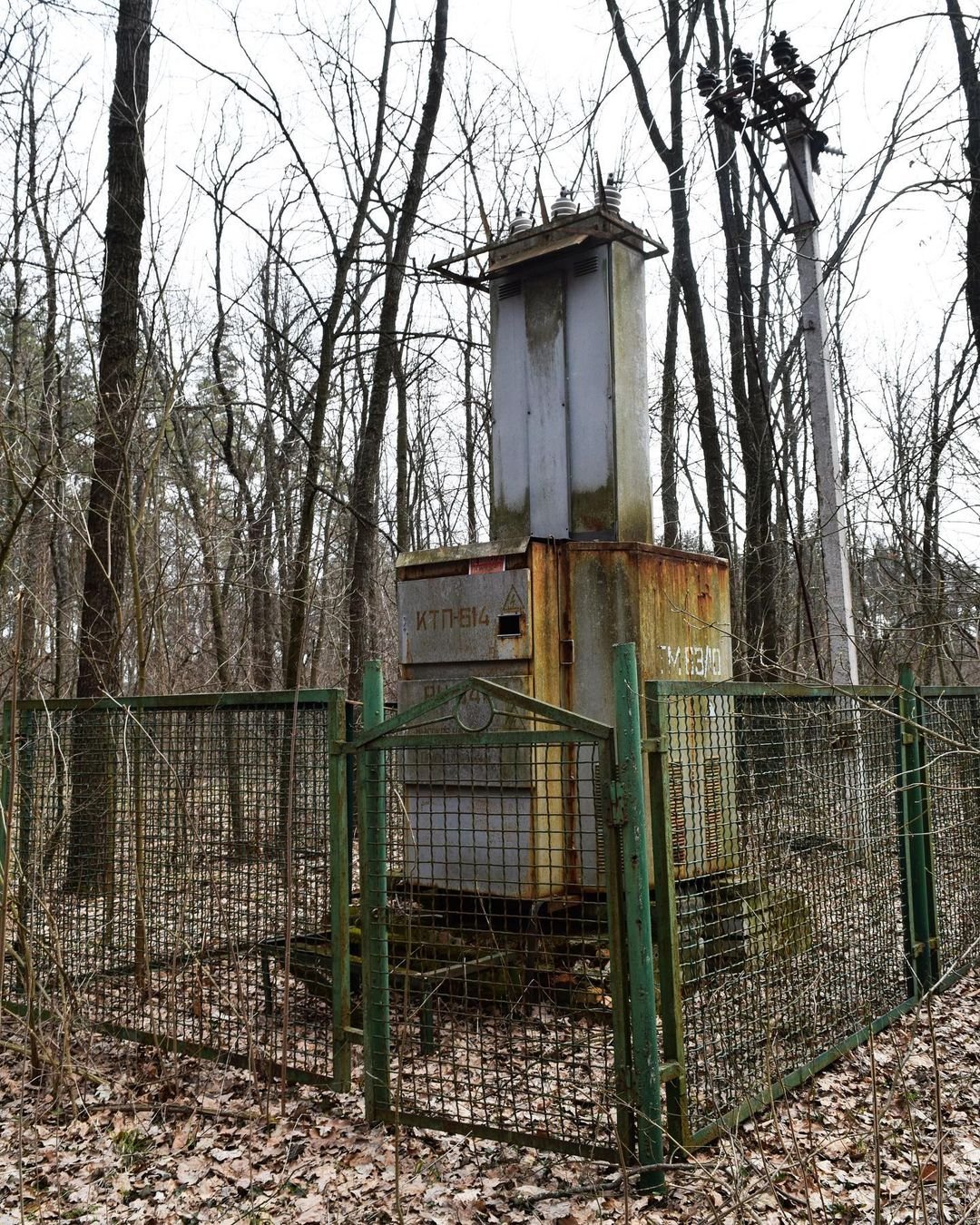 12 дней, чтобы все собрать 12 дней, чтобы все собрать
