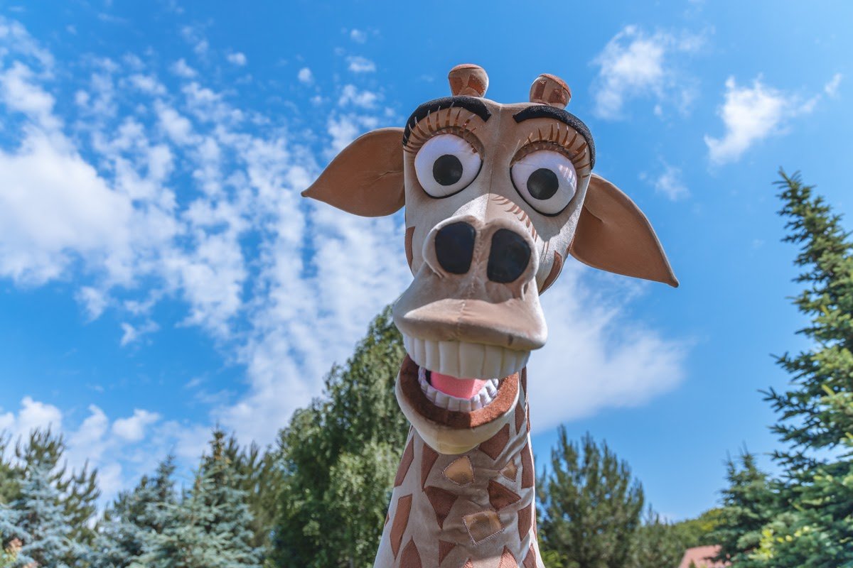 Мемлман Мемлман