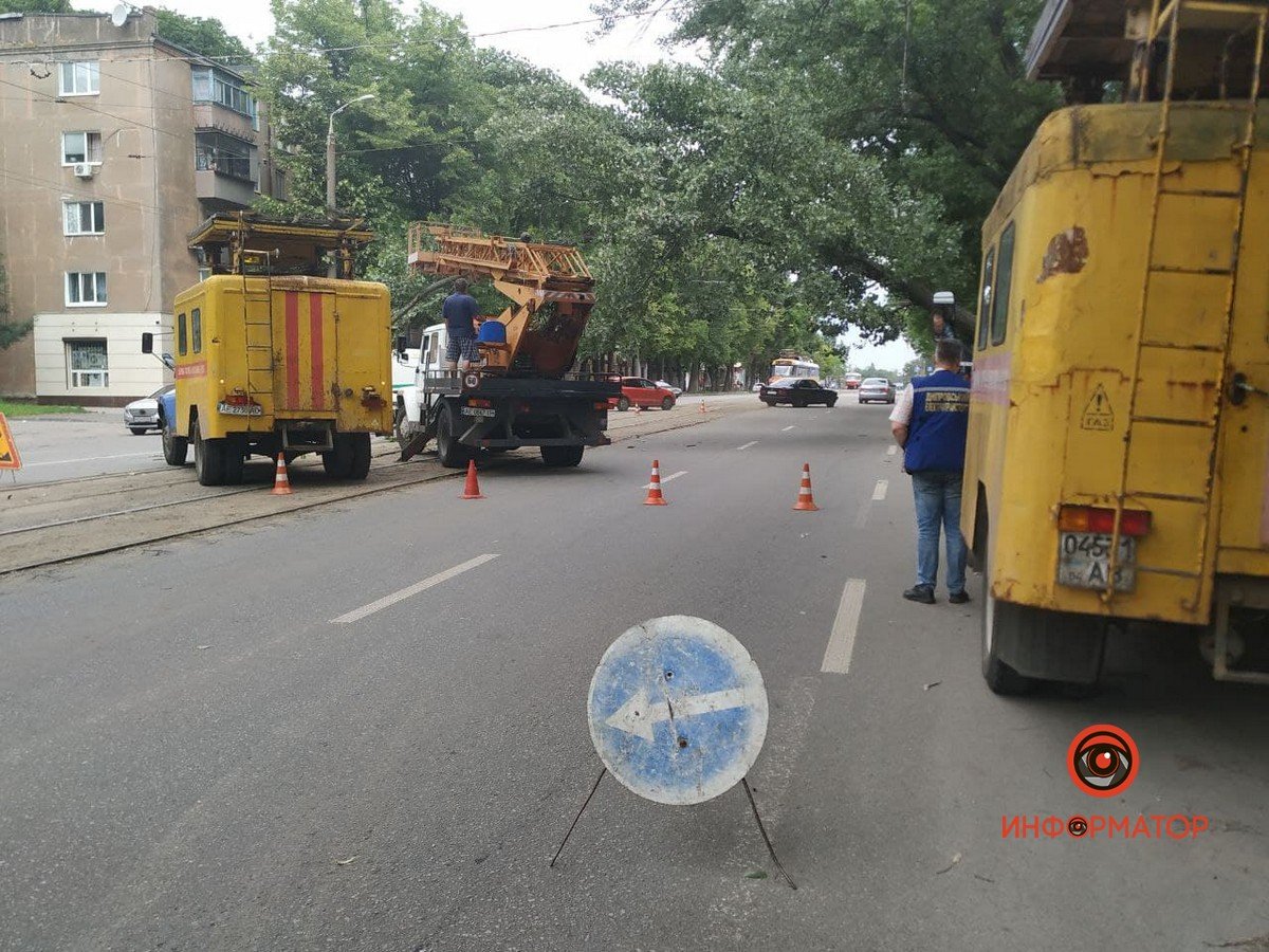 На проспекте Богдана Хмельницкого тополь начал падать на проезжую часть